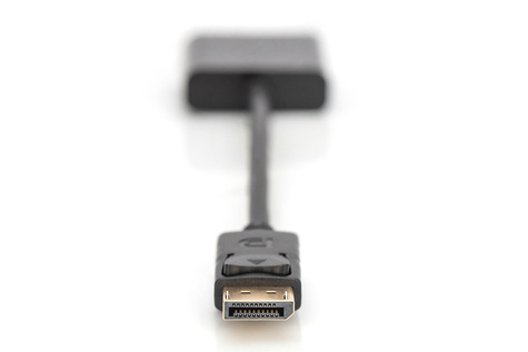DIGITUS ASSMANN DisplayPort adapter - 15 cm