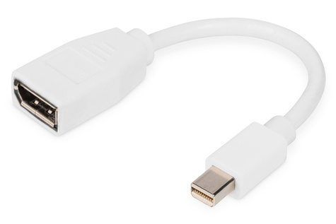 DIGITUS DisplayPort adapter - Mini DisplayPort to DisplayPort - 15 cm