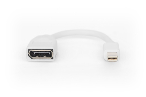 DIGITUS DisplayPort adapter - Mini DisplayPort to DisplayPort - 15 cm