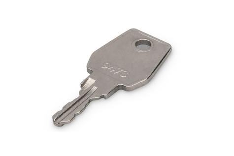 DIGITUS DIGITUS Professional DN-19 KEY-9473 - rack security lock key