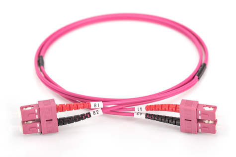 DIGITUS Professional patch cable - 2 m - RAL 4003