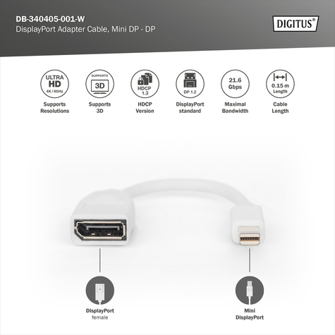 DIGITUS DisplayPort adapter - Mini DisplayPort to DisplayPort - 15 cm