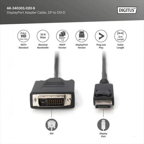 DIGITUS DisplayPort Adapterkabel DP - DVI (24+1) St/St 2,0m