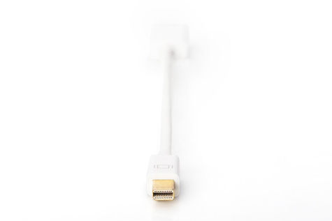 DIGITUS DisplayPort verloopkabel - 15 cm