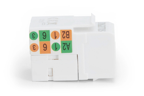 DIGITUS CAT 5e Keystone Jack - unshielded RJ45 to LSA - Black