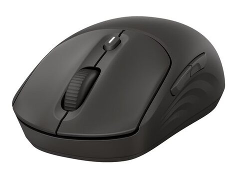HP 405 Quiet Black Wireless Mouse