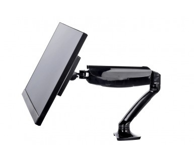 Iiyama Iiyama DS3001C-B1 - desk mount (adjustable arm)
