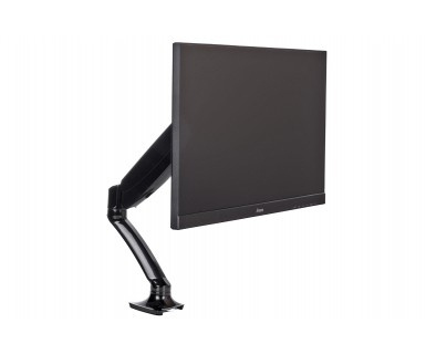 Iiyama DS3001C-B1 - desk mount (adjustable arm)