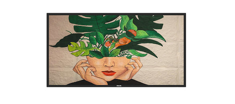 Philips 50 D-Line FHD 24/7