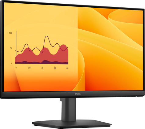DELL Dell Pro 22 Monitor - E2225HM