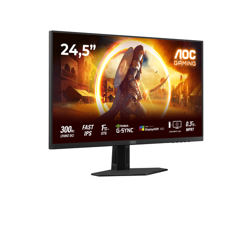 AOC G4 FHD 300Hz OC IPS HDR400 Erg