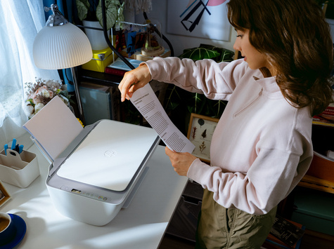 HP DeskJet 2920 All-in-One Printer