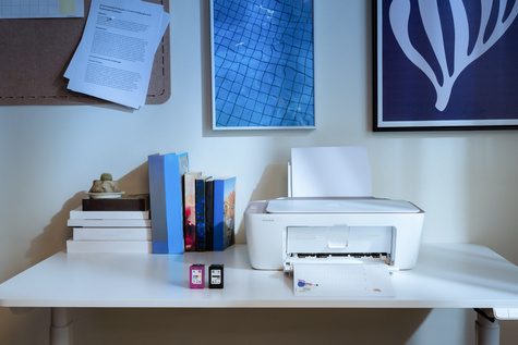 HP DeskJet 2920 All-in-One Printer