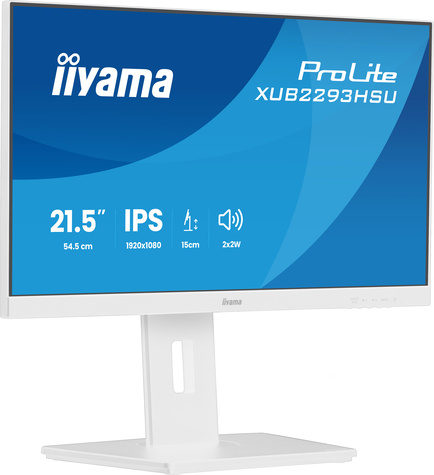 Iiyama 22iWIDE LCD 1920 x 1080 IPS panel LED Bl.