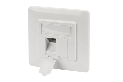 DIGITUS Professional DN-93831 - Face plate for Keystone Jacks, 2x RJ45 80x80 frame, 50x50 central plate, design comptible