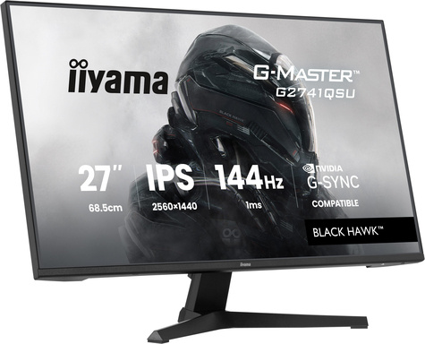 Iiyama 27iWIDE LCD G-Master Black Hawk 2560 x 1440 QHD 144 Hz