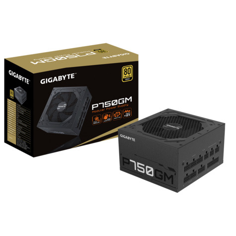 Gigabyte Gigabyte Voeding Gigabyte 750W P750GM (80+ Goud)