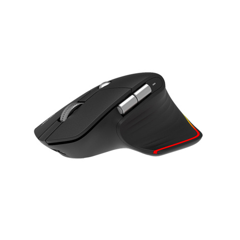 Acer Easy Fit Mouse​ - Retail pack muis Rechtshandig RF-draadloos + Bluetooth 4000 DPI