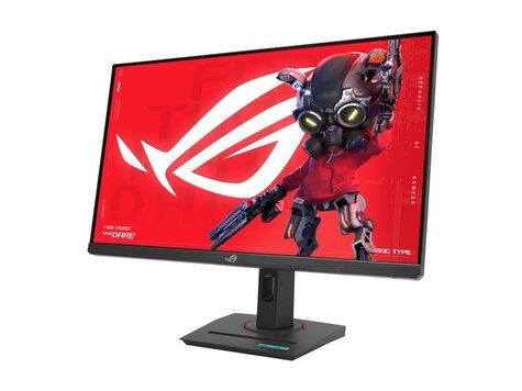 Asus ROG Strix XG27UCG 68.58cm (16:9) UHD HDMI DP