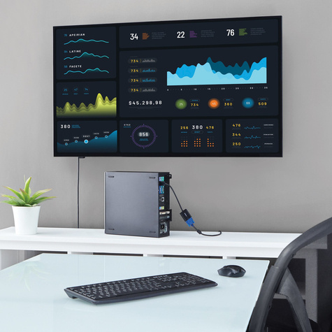 STARTECH DisplayPort 1.2 naar VGA Adapter Converter - DP naar VGA