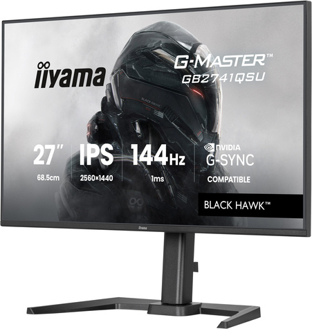 Iiyama 27iWIDE LCD G-Master Black Hawk 2560 x 1440 QHD 144 Hz IPS
