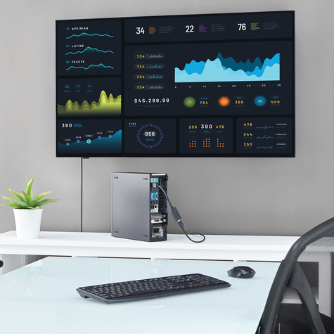 STARTECH DisplayPort naar HDMI Video Adapter Converter - Videoadapter - DisplayPort male naar HDMI female