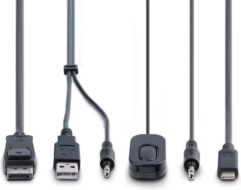 STARTECH 2-Port Hybrid USB-C DisplayPort Cable KVM Switch, 4K 60Hz, Compact KVM with 6ft/1.8m