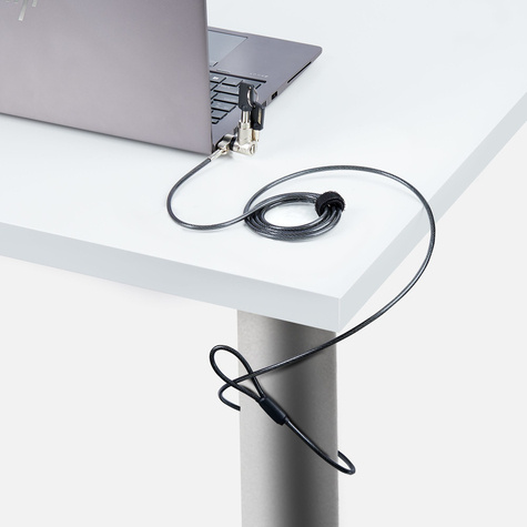 STARTECH Universal Laptop Lock 6.6ft (2m), Security Cable For Notebook Compatible With Noble Wedge