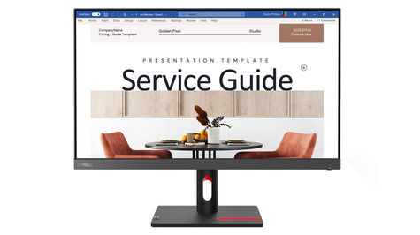 HP 24" ThinkVision FHD/HDMI/VGA/100Hz/IPS