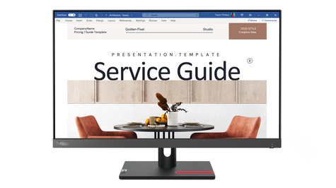 HP 24" ThinkVision FHD/HDMI/VGA/100Hz/IPS