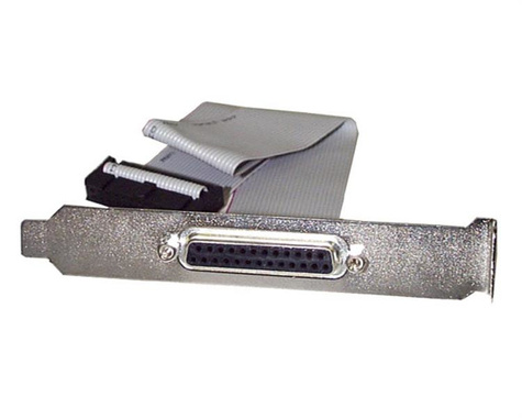 STARTECH 40 cm DB25 parallelle vrouwelijke naar IDC 25-polige headersleufplaat - Parallel paneel - DB-25 (V) naar 26-PIN IDC (V) - 40.64 cm - grijs