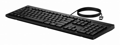 HP 125 G2 USB WD KBD Bulk EMEA-INTL EN L