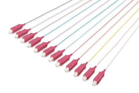 DIGITUS DIGITUS FO pigtail set, 12 pcs., SC, MM OM4 50/125 æ loose buffer, color code DIN IEC 304, 2 m
