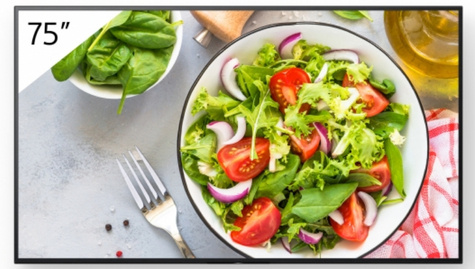 SONY SONY Bravia Professional Displays FW-75BZ35L - 75" diagonale klasse BZ35L Series led-achtergrondverlichting lcd-scherm