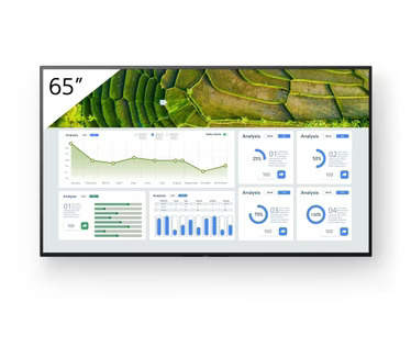 SONY Bravia Professional Displays FW-65BZ30L - 65" diagonale klasse BZ30L Series led-achtergrondverlichting lcd-scherm