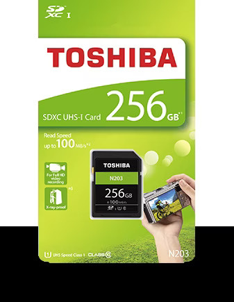 Toshiba Toshiba SD Exceria R100 N203 256GB