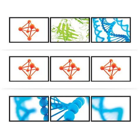 STARTECH DisplayPort naar Displayport multi monitor splitter - 3 poorts MST hub - Videosplitter