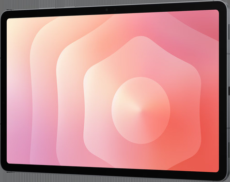 Samsung Galaxy Tab S11 12RAM 256GB LTE EU gray