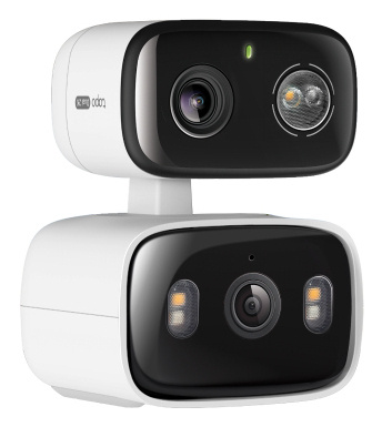 TP-Link Indoor/Outdoor Dual Lens Pan/Tilt Securi