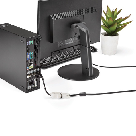 STARTECH DisplayPort naar DVI Video Adapter Converter - DisplayPort-adapter - enkele verbinding - DisplayPort (M) naar DVI-D (V) - 24 cm