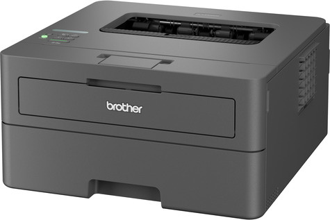 Brother HL-L2400DWE MONO / WLAN / Zwart
