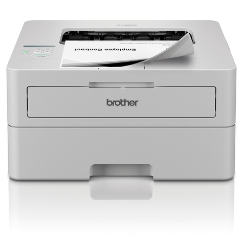 Brother Brother HL-L2865DW MONO / LAN / WLAN / Wit