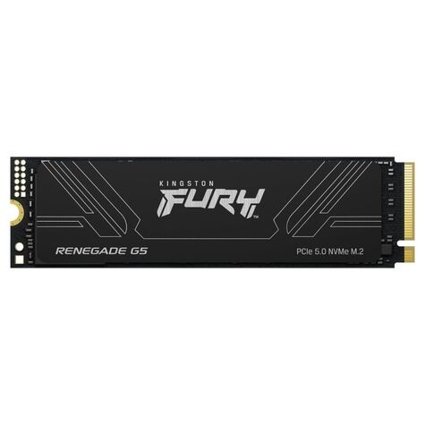 Kingston Kingston 2048GB Kingston FURY Renegade G5 PCIe