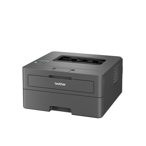 Brother HL-L2445DW MONO / LAN / WLAN / Zwart