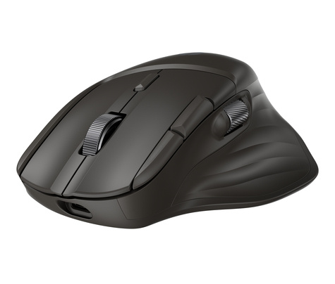 HP UF SCROLL WireLess Mouse 780M