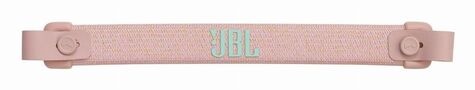 JBL Charge 6 Pink