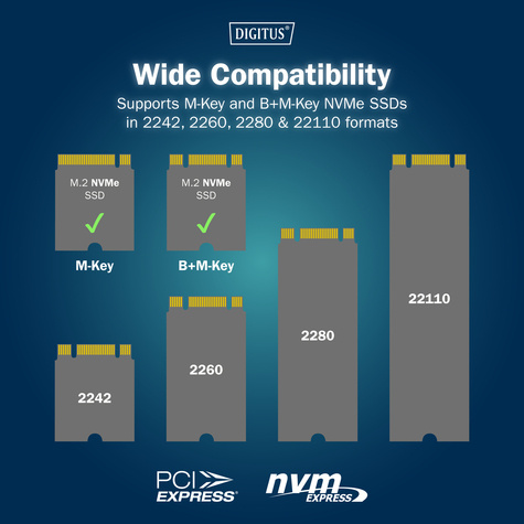 DIGITUS Dubbel bay Nvme SSD docking station 2 bay NVME duplicator M.2 SSD docking station