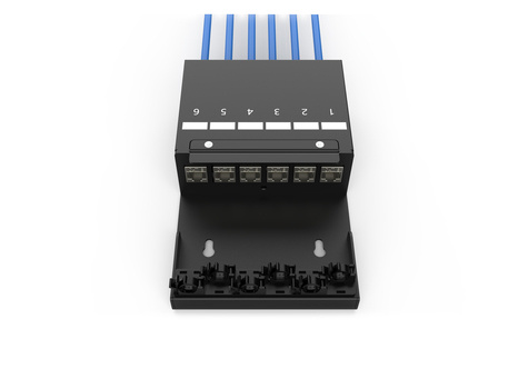 DIGITUS Consolidatiepuntkast, 6 poorten Keystone-modules Met intelligente kabelmanager