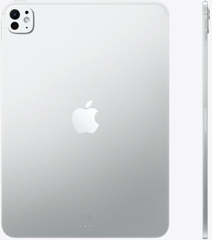 Apple 11-inch iPad Pro Wi-Fi + Cellular 256GB with standard glass - Silver