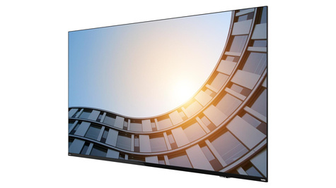Lenovo ThinkVision E65 LFD